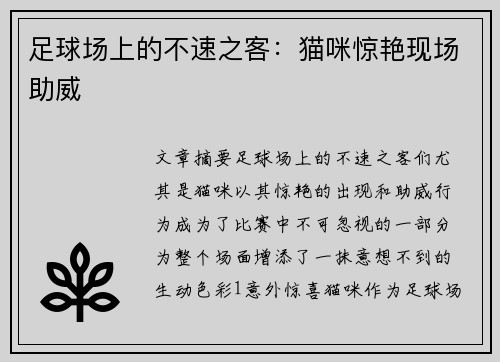 足球场上的不速之客：猫咪惊艳现场助威