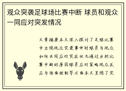 观众突袭足球场比赛中断 球员和观众一同应对突发情况