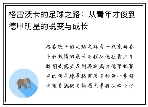 格雷茨卡的足球之路：从青年才俊到德甲明星的蜕变与成长