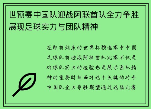 世预赛中国队迎战阿联酋队全力争胜展现足球实力与团队精神