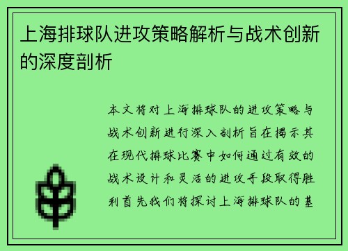 上海排球队进攻策略解析与战术创新的深度剖析
