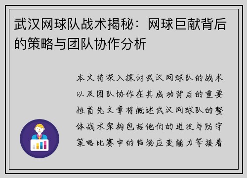 武汉网球队战术揭秘：网球巨献背后的策略与团队协作分析